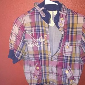 Dove bird going in for the kill